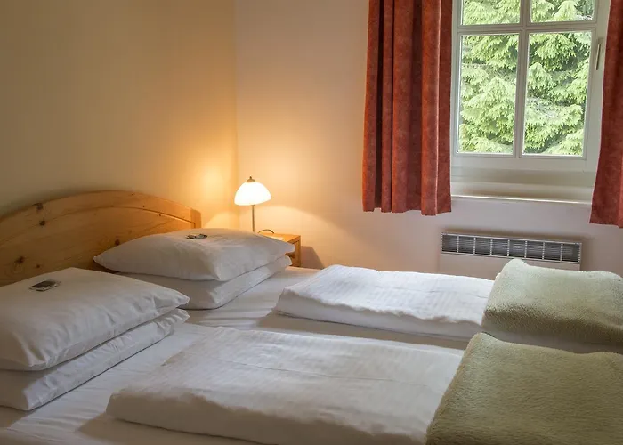 ホテル Restaurant Winterbach Sankt Anton an der Jessnitz